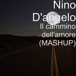 Il cammino dell'amore (MASHUP) [feat. B.A.D.S] - Single - Nino D'Angelo