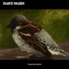 A Sparrow Alone - EP artwork
