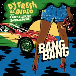 Bang Bang (feat. Selah Sue, Craig David & R. City) - Single - DJ Fresh