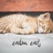 Light White Noise Calm Cat - Calm Cat lyrics