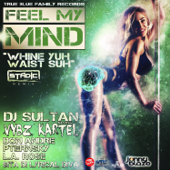 Feel My Mind / Whine Yuh Waist Suh (Stadic Remix) [feat. Don Andre, Pternsky, la Rose & Sita Di Lyrical Diva] - Dj Sultan