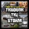 Through the Storm (feat. Jansport Jack) - Faddy Yo lyrics