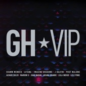 GH VIP artwork
