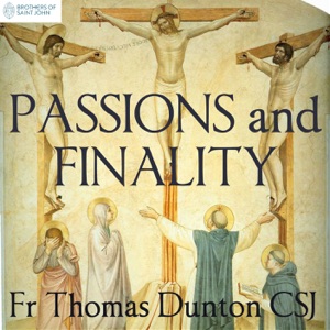 Passions and Finality 11 – Final Questions by Fr Thomas Dunton CSJ