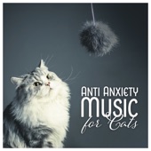 Anti Anxiety Music for Cats - Soothe Cat Stress, Pet Therapy, Soothing Sleep, Calm Down artwork