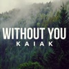 Without You (Acoustic) - Single