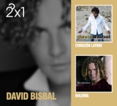 David Bisbal - Dígale