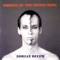 The Lone Rhinoceros - Adrian Belew lyrics