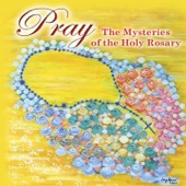Pray (The Mysteries of the Holy Rosary) artwork