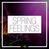 Spring Feelings