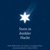 Stern in dunkler Nacht