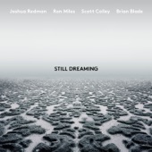 Still Dreaming (feat. Ron Miles, Scott Colley & Brian Blade) artwork