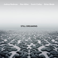 STILL DREAMING cover art