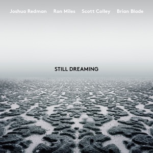 Still Dreaming (feat. Ron Miles, Scott Colley & Brian Blade)