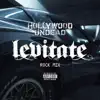 Levitate (Rock Mix) - Single album lyrics, reviews, download