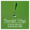 Powerful Ways to Relax and Quiet Your Anxious Mind: Mindfulness Meditation Music, Decrease Stress & Reach Inner Calm album lyrics, reviews, download