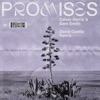 Promises (David Guetta Extended Remix) - Single