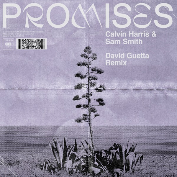 Promises (David Guetta Extended Remix) - Single - Calvin Harris, Sam Smith