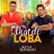 Olhar de Loba - Alex e Ronaldo lyrics