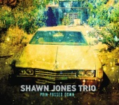 Shawn Jones Trio - One to Blame