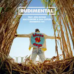 These Days (feat. Jess Glynne, Macklemore & Dan Caplen) [Rudimental VIP] - Single - Rudimental
