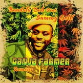 Ganja Farmer (feat. Sammy Gold) [Ras Bruno Remix] artwork