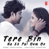 Tere Bin Na Ek Pal Hum Ho - Single