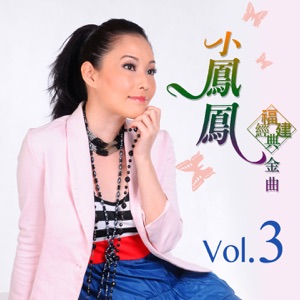 Xiao Feng Feng (小鳳鳳) - Sio Bak Cang (燒肉粽) - Line Dance Music