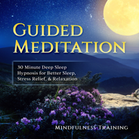 Mindfulness Training - Guided Meditation: 30 Minute Deep Sleep Hypnosis for Better Sleep, Stress Relief, & Relaxation artwork