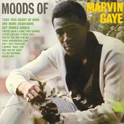 Moods of Marvin Gaye - Marvin Gaye