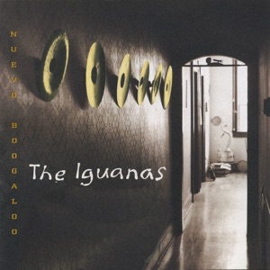 The Iguanas - Oye, Isabel - 排舞 音乐
