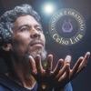 Celso Lira