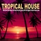 Tropical House (Continuous DJ Mix) cover