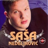 Sasa Nedeljkovic