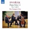 Piano Trio No. 1 in B-Flat Major, Op. 21, B. 51: III. Allegretto scherzando artwork
