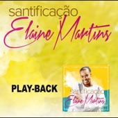 Santificação (Playback) artwork