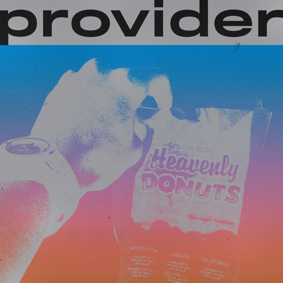 Cover artwork for Provider