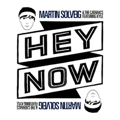Hey Now (feat. Kyle) [Remixes] - EP - The Cataracs