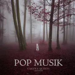 Pop Music by Various Artists album reviews, ratings, credits