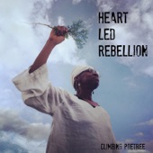 Climbing PoeTree - Heart Led Rebellion