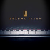 Brahms Piano artwork