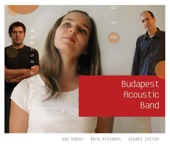 Budapest Acoustic Band - Message In a Bottle