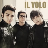 Il volo (International Version) artwork