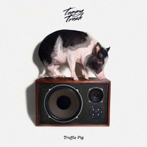 Truffle Pig - Single