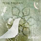 Tebe Trebam - Burhan Saban