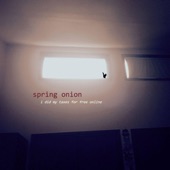 Spring Onion - I Did My Taxes for Free Online