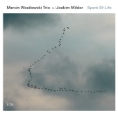 Marcin Wasilewski Trio - Three Reflections