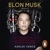 Ashlee Vance - Elon Musk artwork