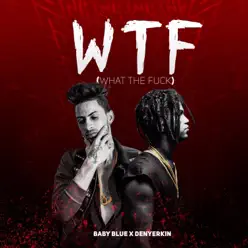 WTF (What the Fuck) - Single - Denyerkin WTF (What the Fuck) - Single - Denyerkin