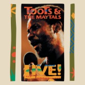 Toots & The Maytals - Get Up, Stand Up